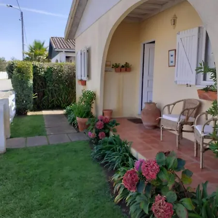 Casa Da Ria 78 Tatil Evi Torreira